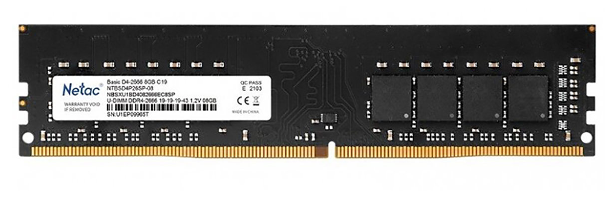 Netac 16 гб. Netac 8 ГБ ddr4 2666 МГЦ DIMM cl19 ntbsd4p26sp-08. Оперативная память ddr3 8gb Netac ntbsd3p16sp-08. Ddr4 4gb 2666mhz. Оперативная память Netac ddr4 16.